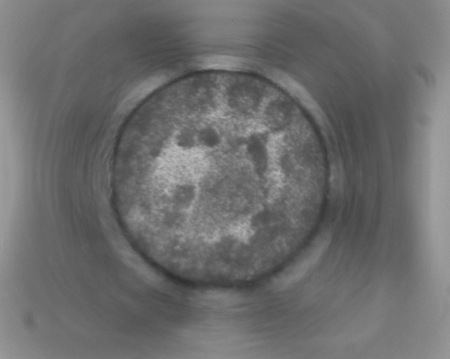 X0000113630529200910162018