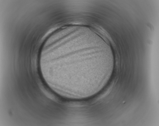 X0000113630530200910162018