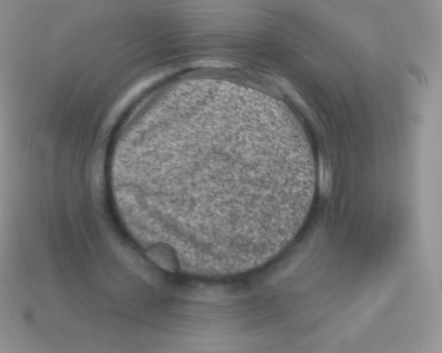 X0000113630531200910162018