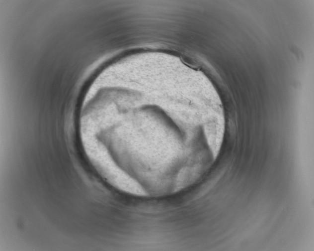 X0000113630532200910162018