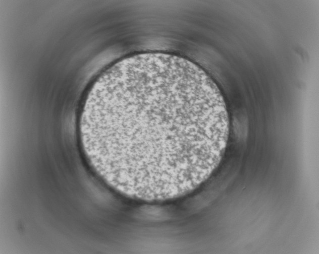 X0000113630534200910162018