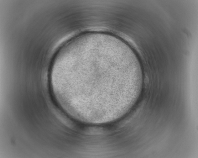 X0000113630535200910162018