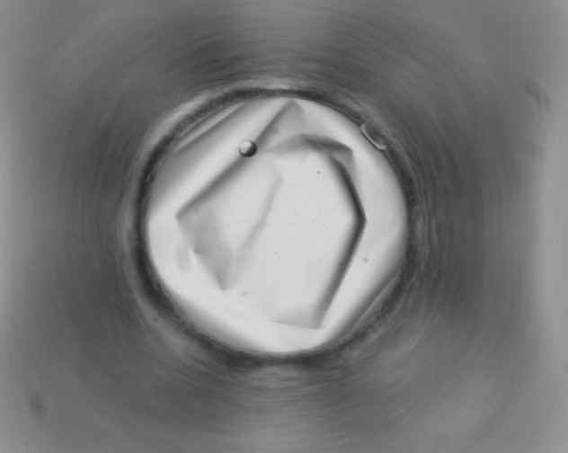 X0000113630536200910162018