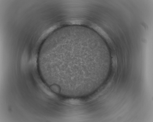 X0000113630537200910162018