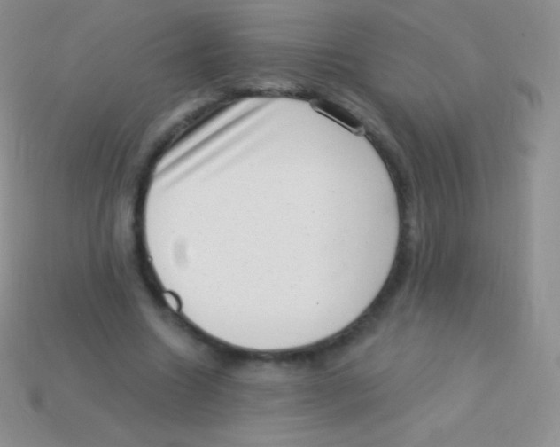 X0000113630538200910162018