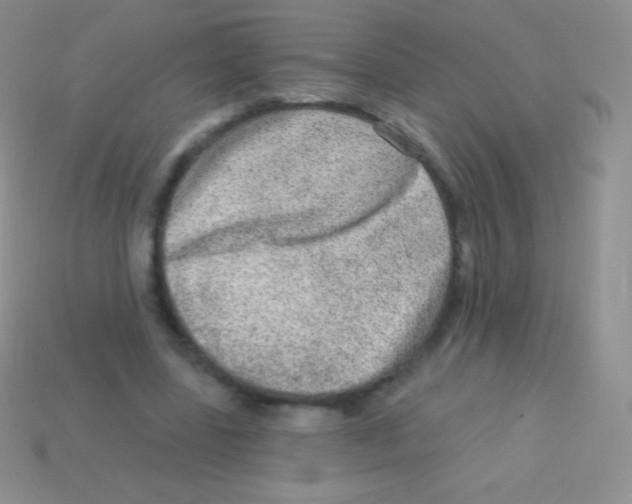 X0000113630539200910162018