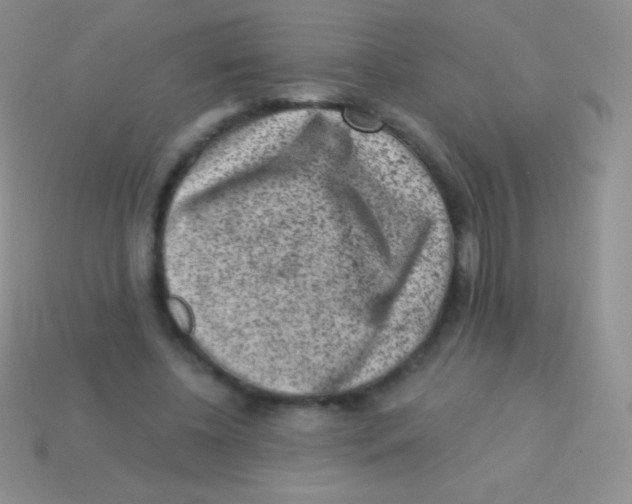 X0000113630540200910162018