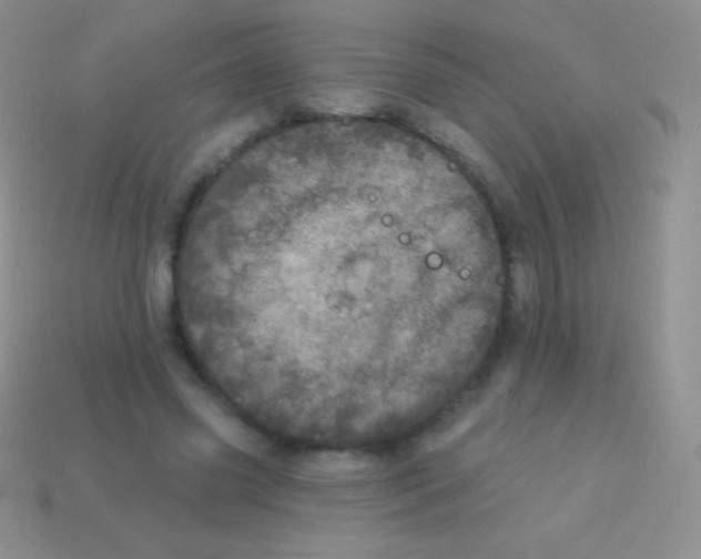 X0000113630541200910162018