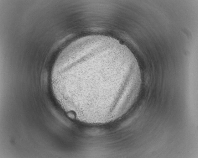 X0000113630542200910162018