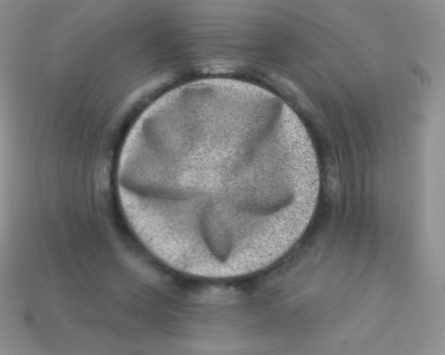 X0000113630543200910162018