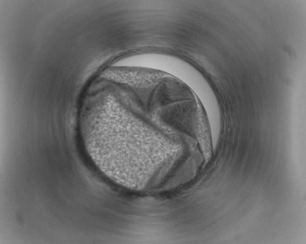 X0000113630544200910162018