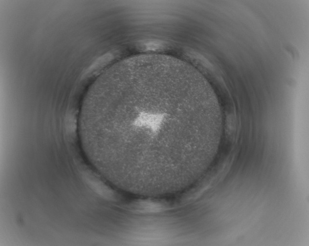 X0000113630545200910162018