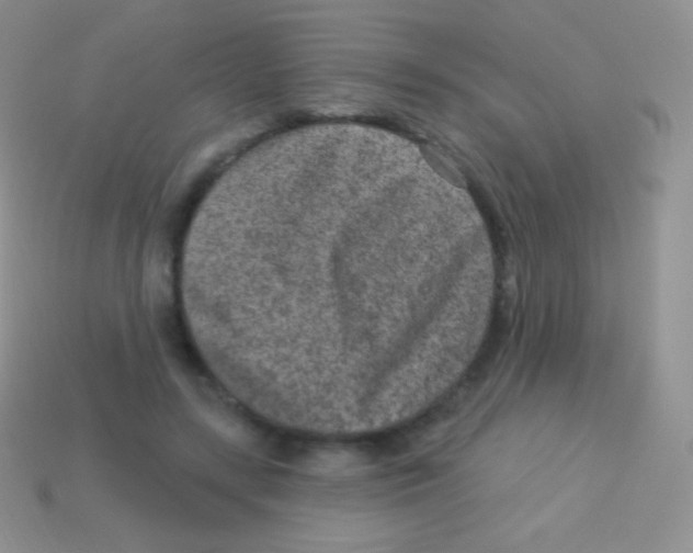 X0000113630547200910162018