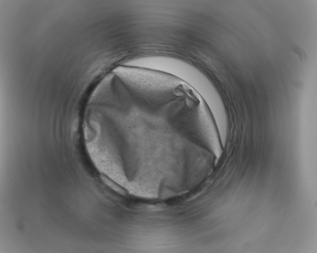 X0000113630548200910162018