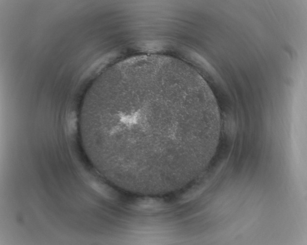 X0000113630549200910162018