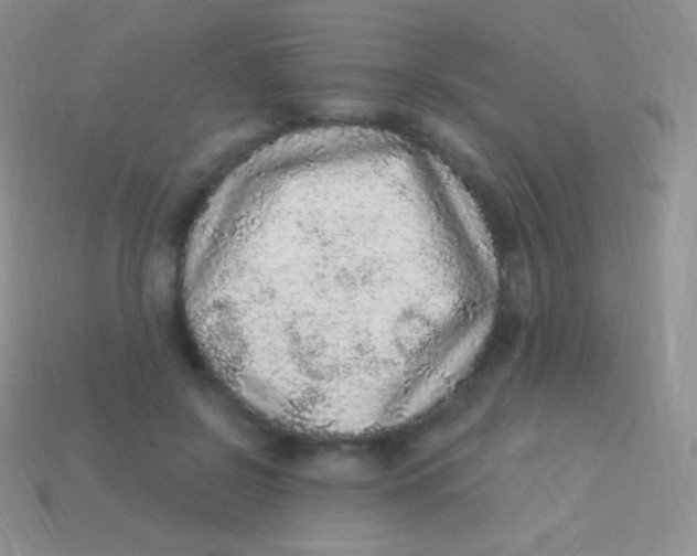 X0000113630550200910162018