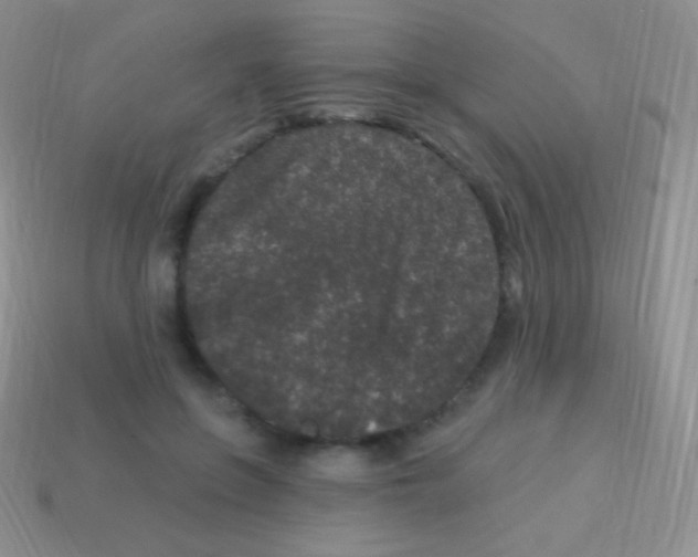 X0000113630551200910162018