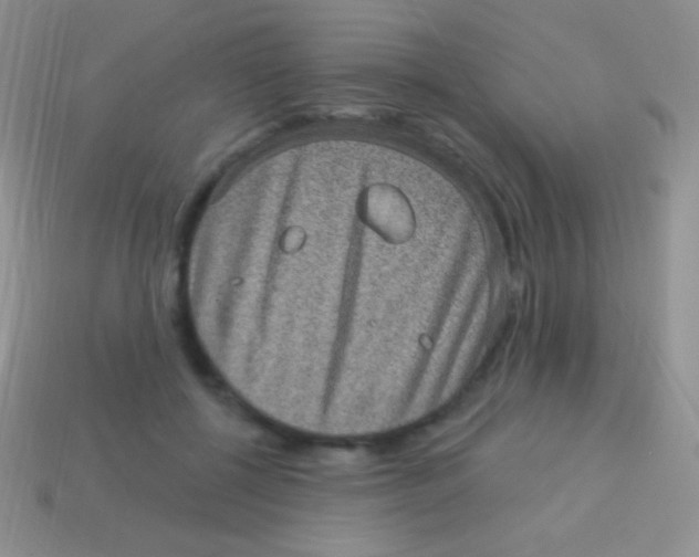 X0000113630552200910162018