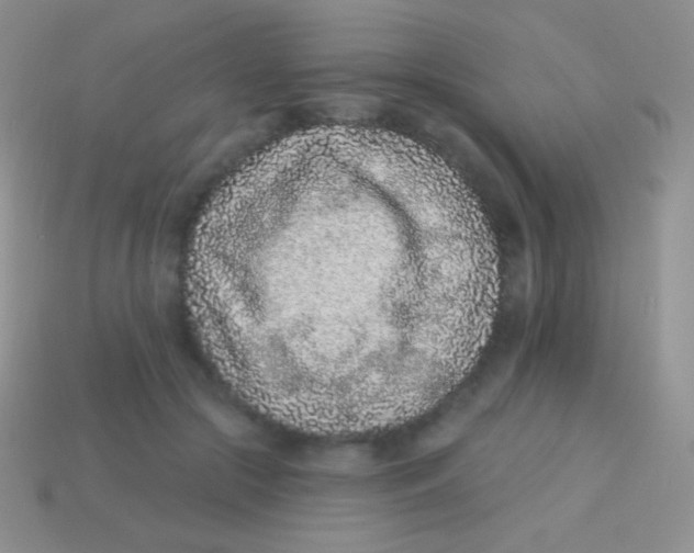 X0000113630553200910162018