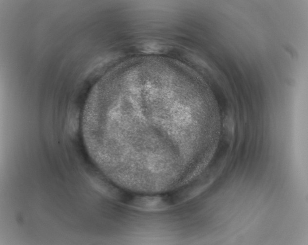 X0000113630554200910162018