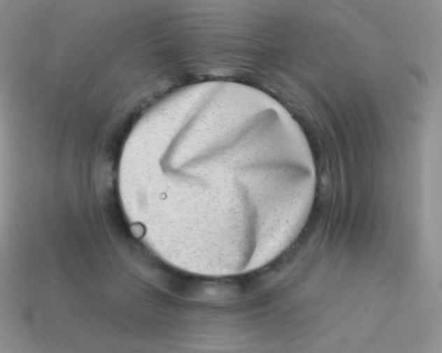 X0000113630555200910162018