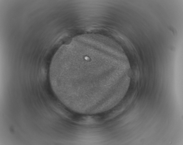 X0000113630558200910162018