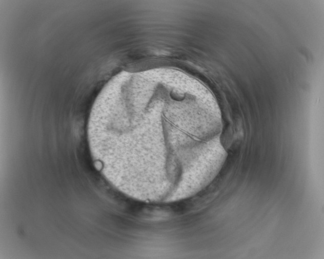 X0000113630559200910162018