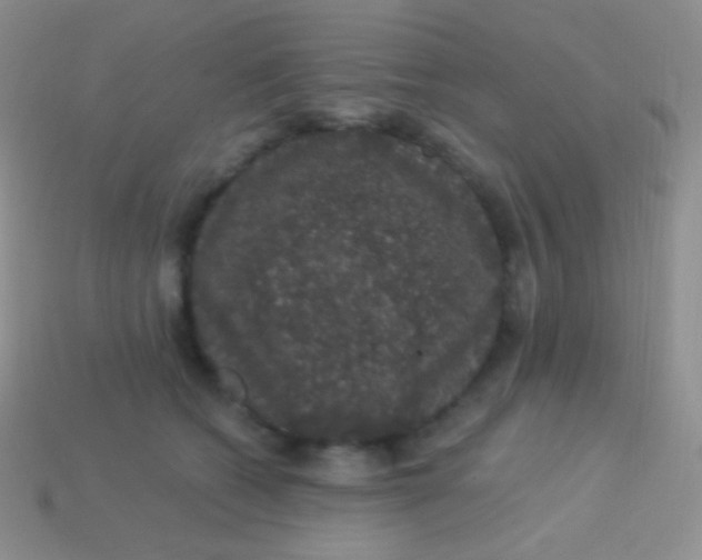 X0000113630562200910162018