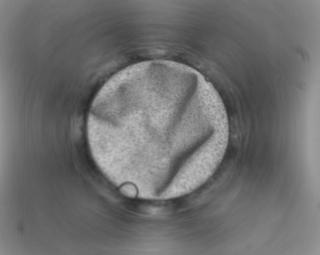 X0000113630563200910162018