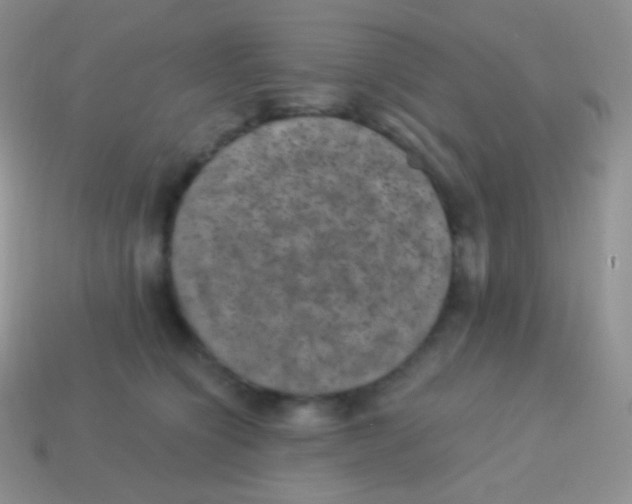 X0000113630564200910162018