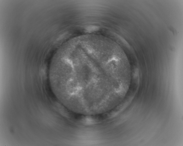 X0000113630565200910162018