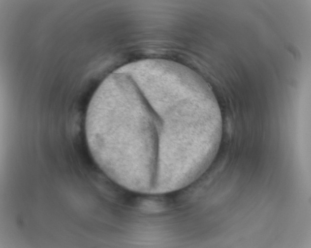 X0000113630567200910162018