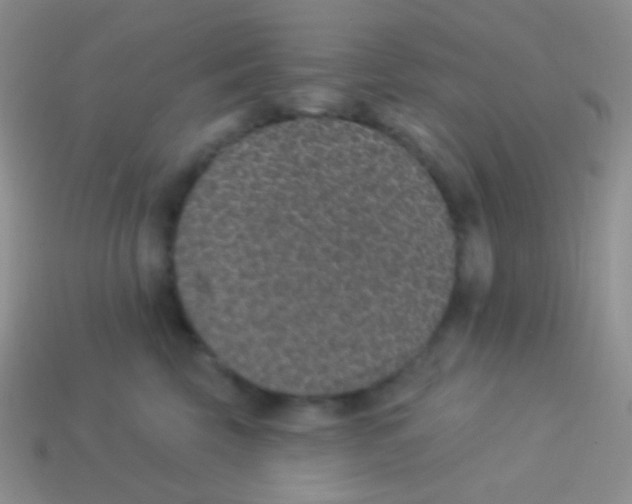 X0000113630569200910162018