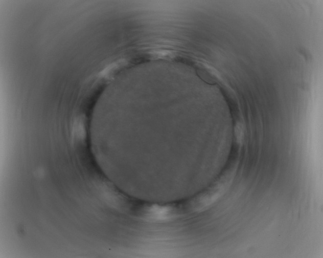 X0000113630570200910162018