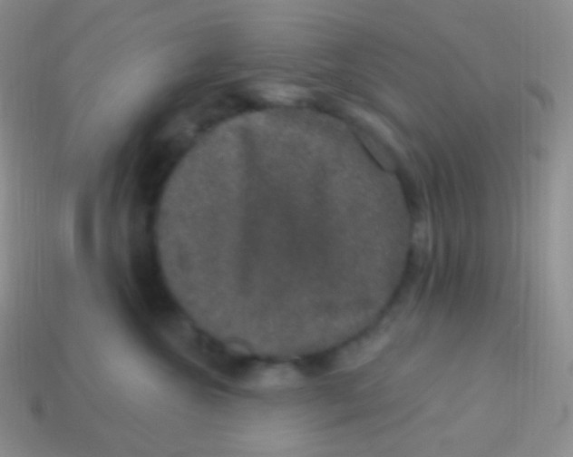 X0000113630572200910162018