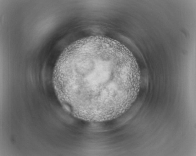 X0000113630573200910162018