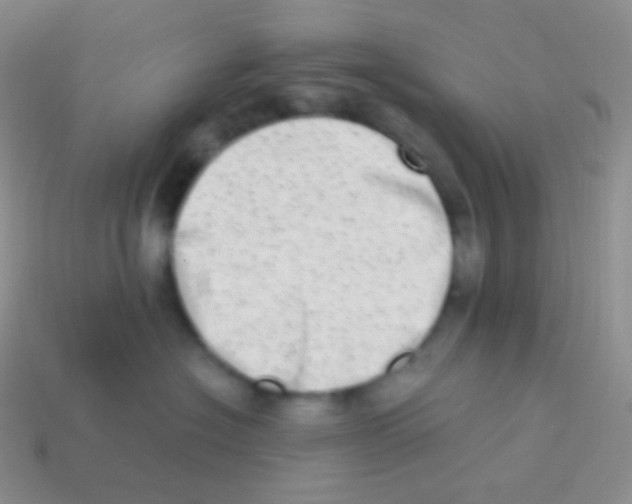 X0000113630574200910162018