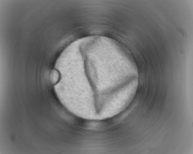 X0000113630575200910162018