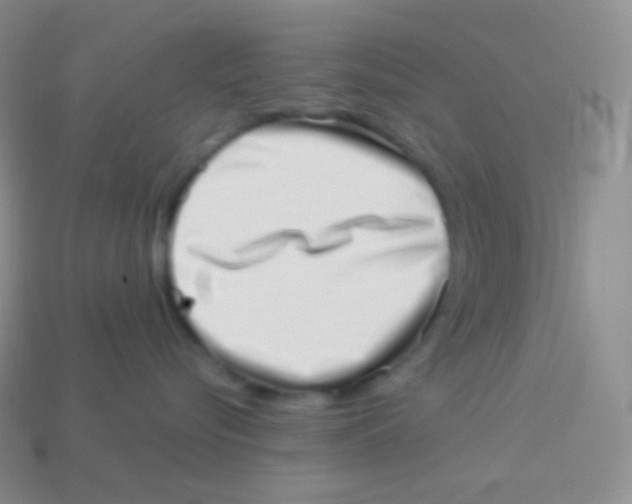 X0000113630576200910162018