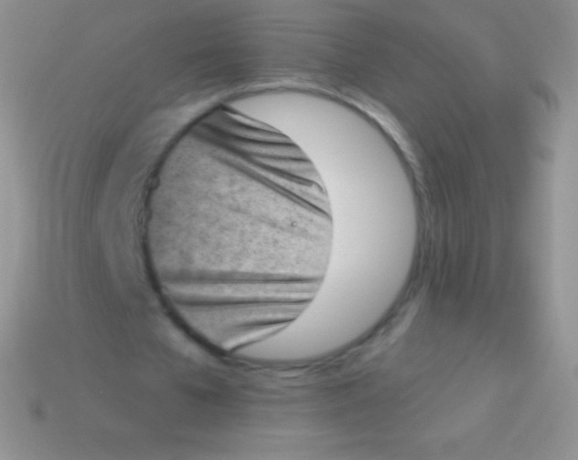 X0000113630577200910162018