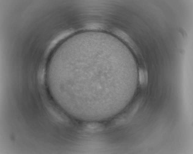 X0000113630579200910162018