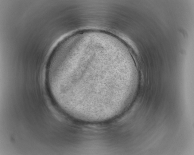 X0000113630580200910162018