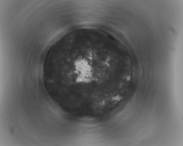 X0000113630581200910162018