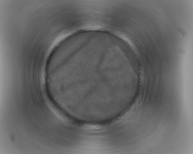 X0000113630582200910162018