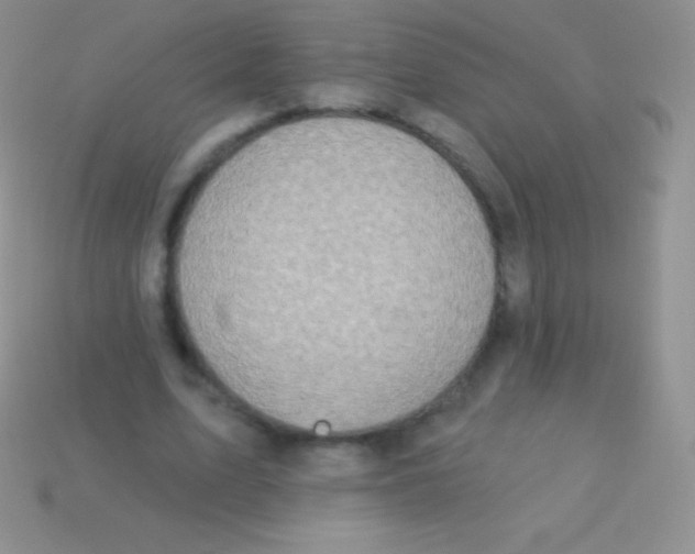 X0000113630583200910162018