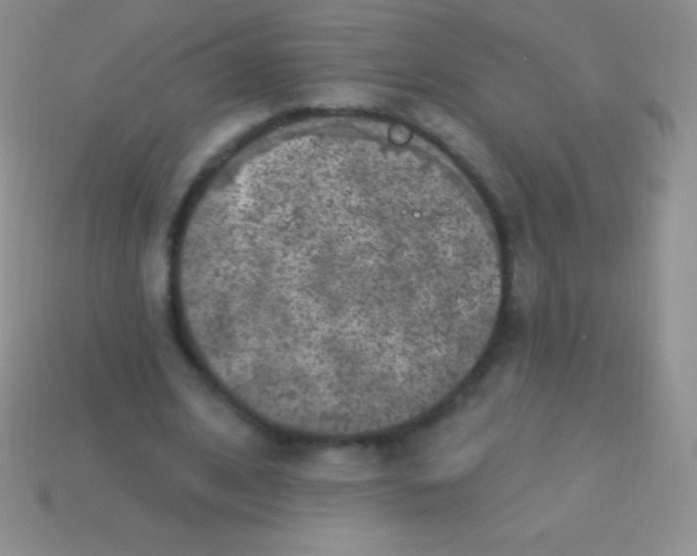 X0000113630584200910162018