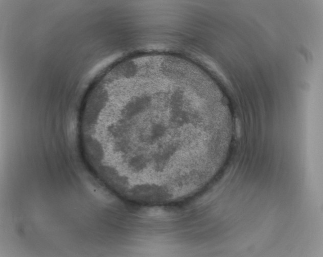 X0000113630588200910162018