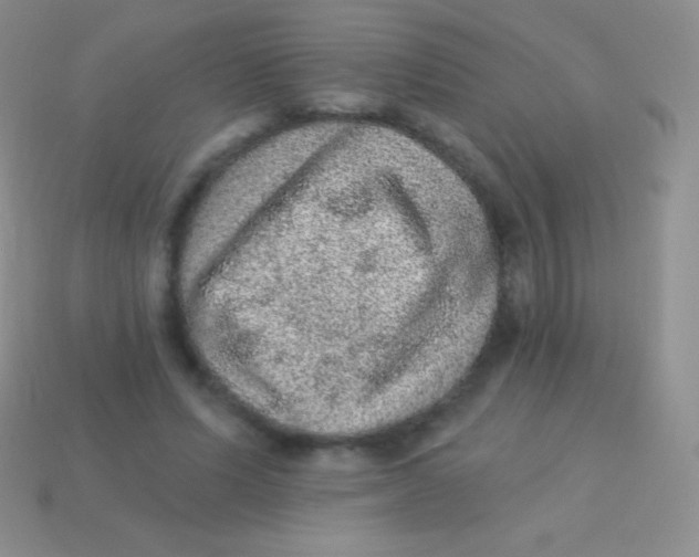 X0000113630591200910162018