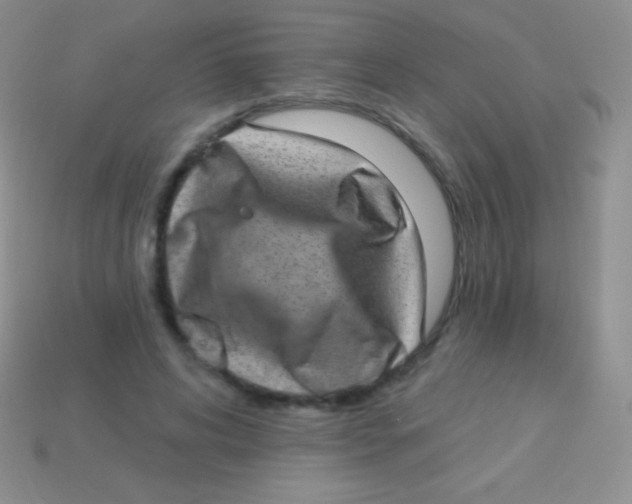 X0000113630592200910162018