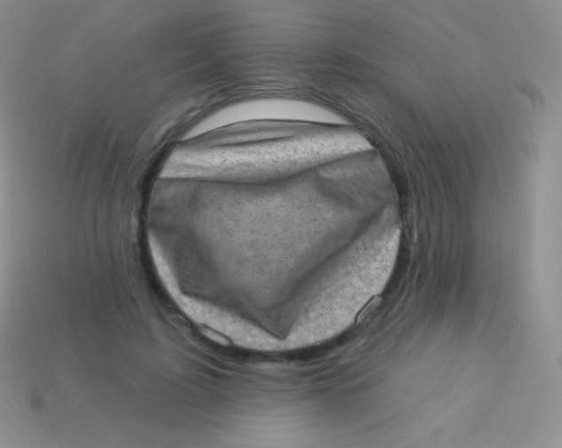 X0000113630595200910162018